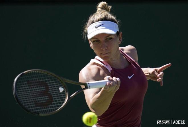 在球迷数量 在球迷数量